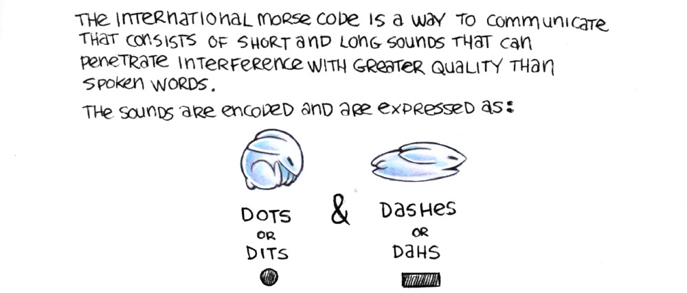 There is an illustration of a rabbit with their body curled into a ball to represent a DIT, and another with their body stretched out horizontally to represent a DAH