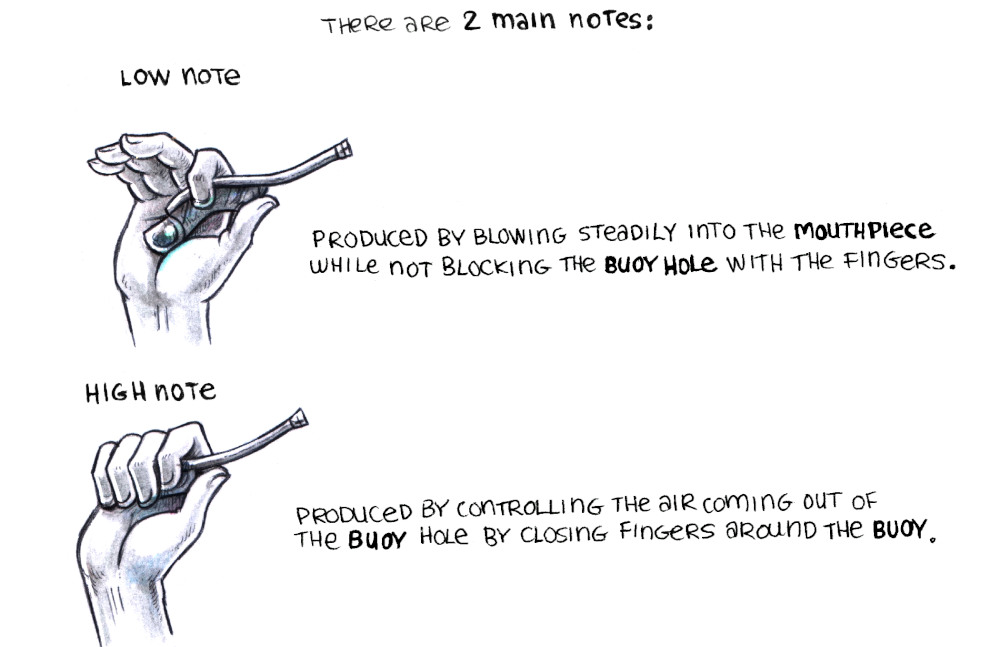 A hand showing how to make a low note which consists of holding a boatswains whistle, with the index finger folded over the body of the whistle and the thumb resting under the keel, the last 3 fingers are raised. Under it is another hand holding a boatswains whistle to make a high note, which consists of all 4 fingers wrapped around the body of the whistle with the thumb resting on the back of the keel.