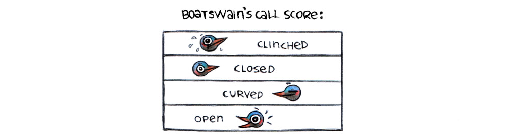 a call score showing the 4 levels which consist of clinched, closed, curved and open. Each level was assigned a bird face which represent the hand positions. Clinched is a wide-eyed nervous bird with beak closed, closed is a neutral bird with beak closed, curved is a smiling while eyes closed bird, open is a smiling beak and eyes open bird.