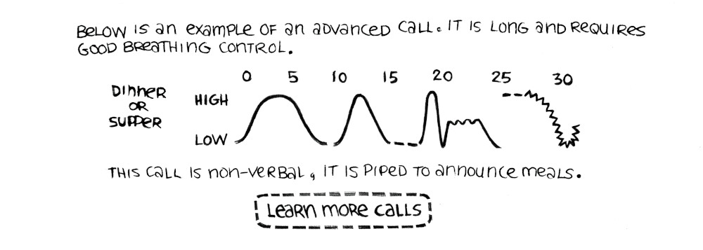 a score showing how to play the call Dinner or Supper. The notes on the score start at low, then ease up to high for 4 seconds, then back slowly down to low with a break. Then it shoots up from low to high rapidly, then back down lasting 5 seconds, after which there are 2 peeps before a smooth line rises from low to high very rapidly before dropping to low just as fast, then rising between high and low with a 3 second warble before dropping to low with a break. Finally, it starts from high for 2 short peeps, before making a trill from high to low and then halfway up to high before stopping.