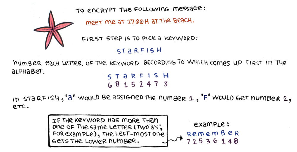 a graphic shows a drawing of a starfish