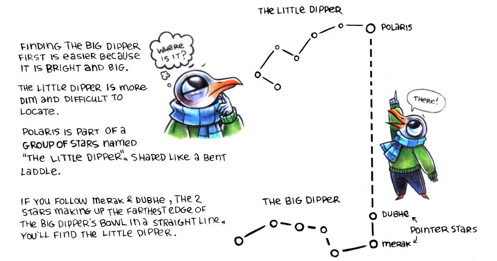 A graphic showing the little dipper, with Polaris at the end of the laddle, with a line leading straight towards the big dipper and its two pointer stars, dubhe and merak.