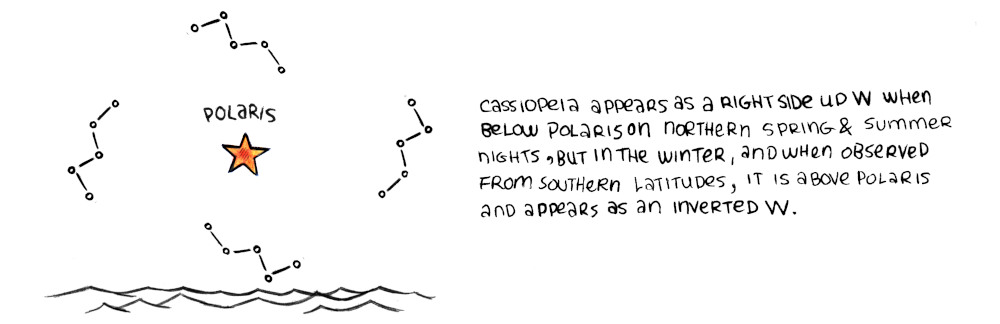A graphic showing the position of Cassiopeia in relation to polaris throughout the seasons.