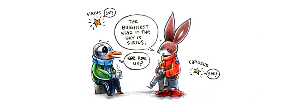 an illustration featuring a gull and a rabbit, sitting on crates and talking while drinking something warm. The rabbit says that the brightest star in the sky is Sirius. The gull replies with See-ree-us? On the side are drawings of the two stars, sirus(1st!) and canopus(2nd!)