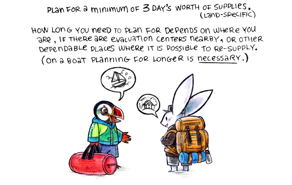 a puffin with a duffel bag talking with a rabbit carrying a hiking backpack. The puffin is talking about a sailboat, the rabbit about a house on land